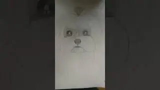 vava pencil work dog pencil drawing from Devu vava vlog please subscribe 🥰🥰