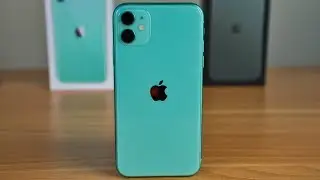 iPhone 11 24 Hours Later Review!