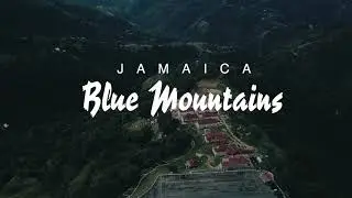 Jamaica Blue Mountain: Travel Vlog | Rare Visuals