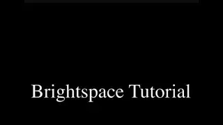 Brightspace Tutorial: Student Video Notes