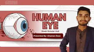 Human eye anatomy | Eye Structure | Human eye explained in sindhi