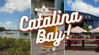 Auckland Day Trip to Catalina Bay VLOG! Little Creatures Brewing, Hobsonville and Beach Haven