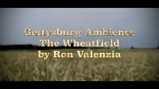 Gettysburg Ambience   The Wheatfield   HD