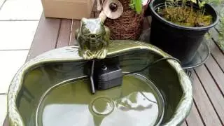 Frog Solar Water Feature Garden Fountain