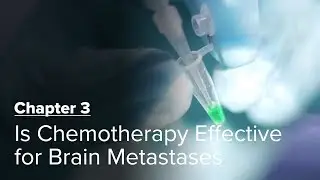 Is Chemotherapy Effective for Brain Metastases? Chapter 3 &mdash; Brain Metastases: A Documentary