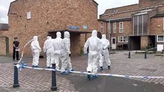 Four arrested after Laindon murder