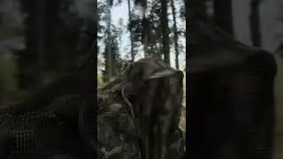 Bekowisko Danieli