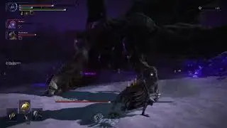 Shieldless Birb