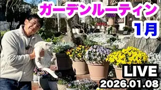 ◆1月【鉢植え】ガーデン作業🪴