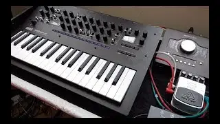 Korg Minilogue XD & Behringer DR600 Digital Reverb