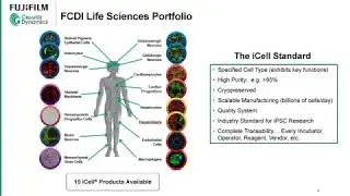 SPS 2018: Implementing Human iPSC-derived Cells in Early Safety Assessment & Disease Modeling