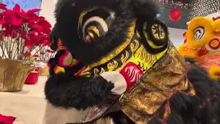 Chinese lions 🐉 in the restaurant
