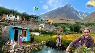 Pakistan local village |Pakistan poor village | beautiful village life