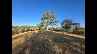 $19k EZtrms 10 acres SW Redding Flat top huge ridge giant oaks 360view low willows Buckeye ezwater!