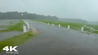 Zen Rain Walks: Beautiful  Rainy Day : Aesthetic ASMR for Sleep & Meditation: Compilation Walks