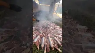 Haneeth, Very Famous Dish in Saudi Arabia&rsquo;s Aseer Region#shortsvideo#localfood#food
