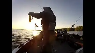Kingston/Quinte  Walleye...Limestone City Fishing Charters