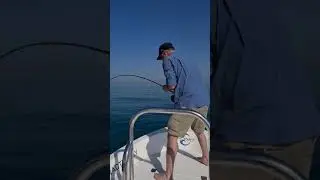 Fly Fishing For Queen Fish, first time salt water fly-fishing.