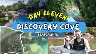 SWIMMING WITH THE RAYS! | Discovery Cove, Dolphin Swim, Snorkeling In The Reef