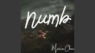 Numb (Piano Instrumental)
