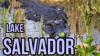 Fishing for Sac Au Lait and Bass in Lake Salvador Louisiana