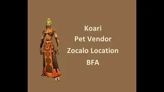 How to find Koari Pet Vendor Location in Zocalo BFA
