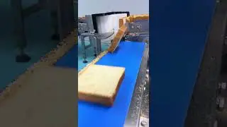 Single-File Toast Delivery System for Automated Lines | Automatic Separator