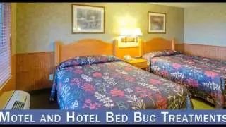 Termite Treatment Oakdale CA 95361 209-456-5665 Termite Control