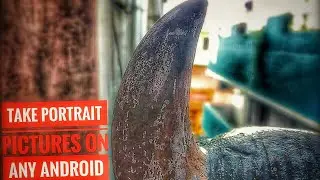 HOW TO TAKE PORTRAIT PICTURES ON ANY ANDROID DEVICES // NO ROOT // TECH KNOW TAMIL🔥🔥🔥