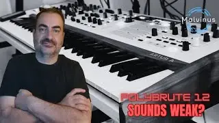 Think the Arturia Polybrute 12 Sounds Weak? Watch This!