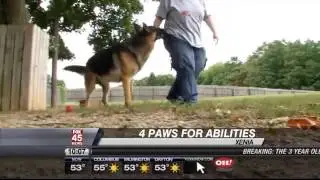Death of Puppy at Service Dog Training Facility May Be Linked to Deadly Dog Virus