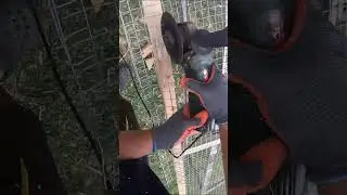 Bird Cage Wall Build &ndash; Frame + Mesh 🔧 #Woodworking #Shorts
