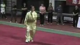 Chen Style Tai Chi Demonstration - Chen Zheng Lei