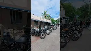 Harley Davidson Bikes Lineup #harleydavidson #exhaust #sound #enginevibes #automobile #shorts #fyp