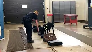 New Detector Dog Team At North Portal Border Crossing