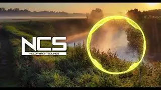 Flo Rida - Wild Ones ft. Sia [NCS Fanmade]