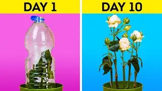 Top 50 Plant Growing Hacks Used by Expert Gardeners!