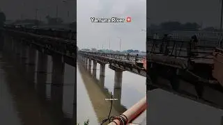 Yamuna River 🚨 News Alert ⚠️ Agra #trending #yamuna #alert #flood #river #barish