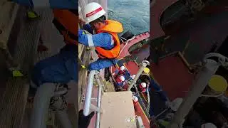 Getting on Board Vessel using combination of Pilot ladder and gangway #lissandroworkplace🇮🇹