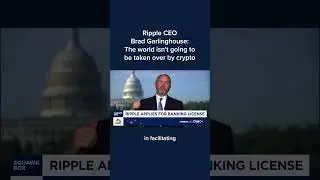 Ripple CEO Brad Garlinghouse: The world isn't going to be taken over by crypto