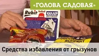 Голова садовая - Средства избавления от грызунов