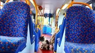 Transbus Trident/Transbus ALX400 LX51FMO - Stagecoach Midlands 17493
