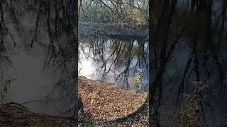 autumn river