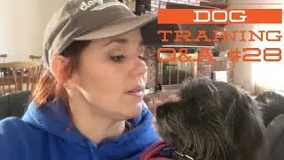 Dog Training Question and Answer #28-What tools to use when, and more