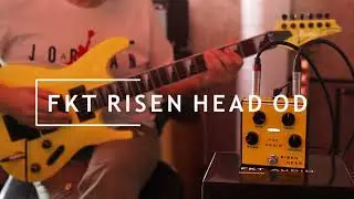 FKT Audio Risen Head Overdrive - Let's test it!