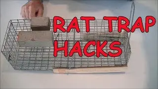 HAVA HART Rat Trap Hacks