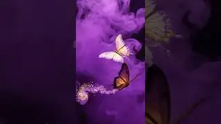 🦋#asmr Butterfly | Tapping. No Talking. #triggersforsleep #soundscape #visualtingle