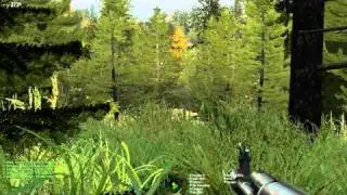 Squad size TvT (PvP) on a Forest map ArmA 2 ACE 2 mod