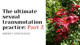 Ultimate Sexual Transmutation Practice 2: Energy Strategies