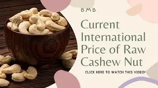 Current International Price Of Raw Cashew Nut Stats